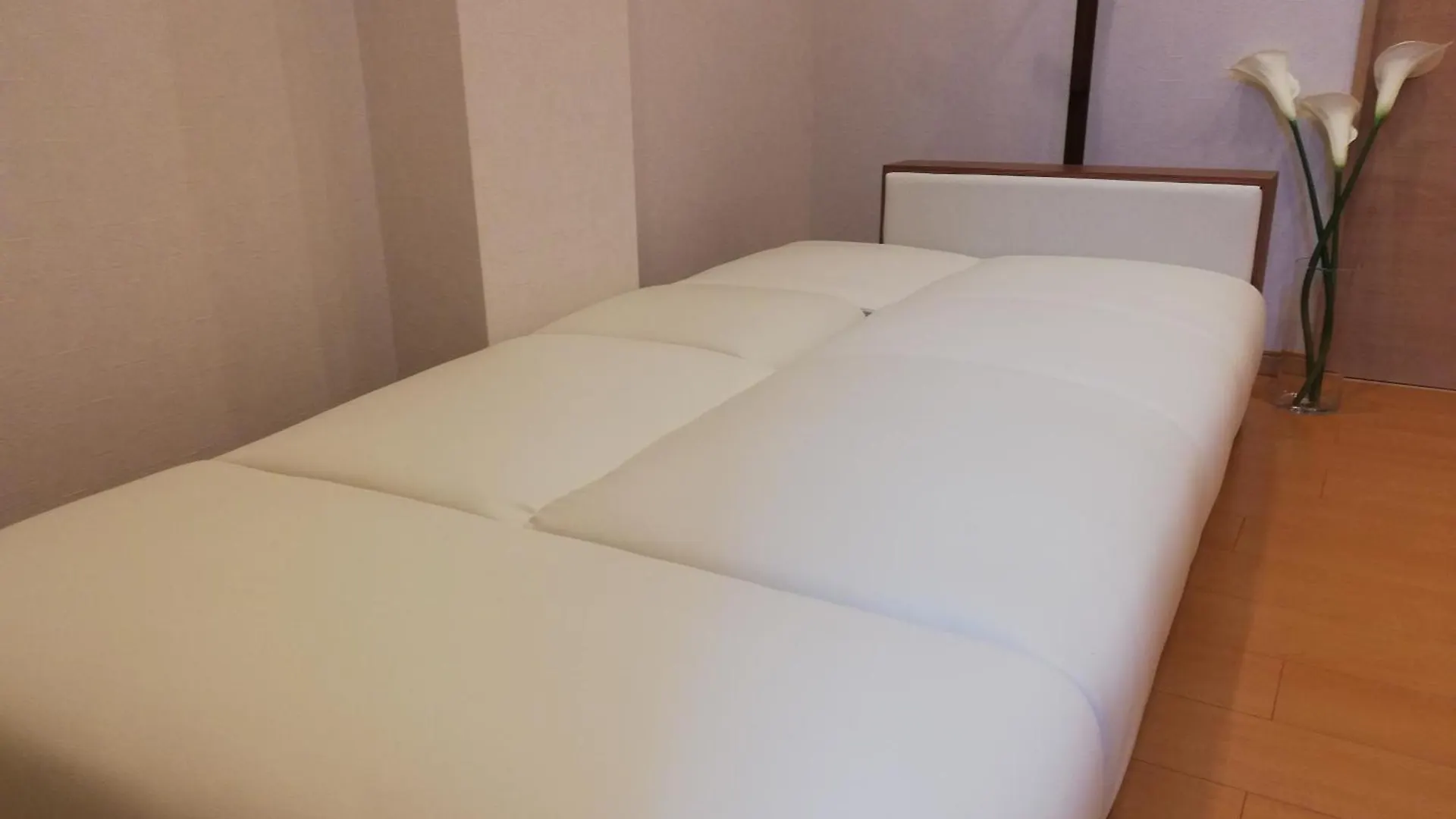 Apartament 2池袋最中心 两室一厅 池袋站10分 2 Rooms Ikebukuro Center 10 Mins To St Max 7P 直达新宿 涉谷 表参道 池袋 上野 代代木 银座 原宿 Tokio Japonia